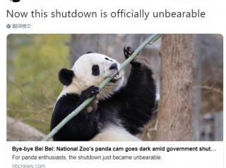 国家动物园内饲养着三只大熊猫添美香和贝贝