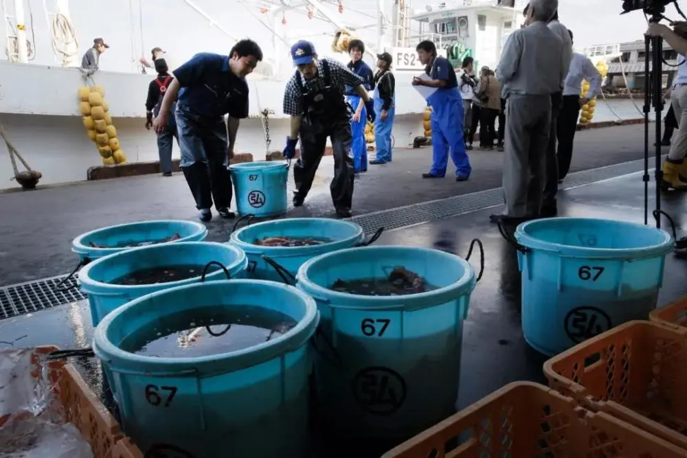 日本水质检测_日本水产厅检测鱼类样本仅2条_日本鱼检测出